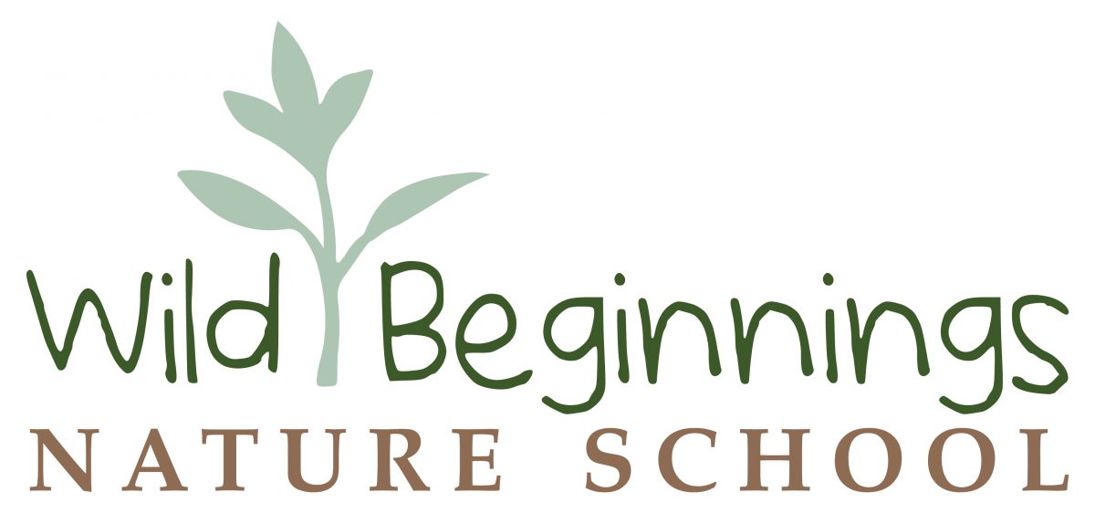 Wild Beginnings Nature School