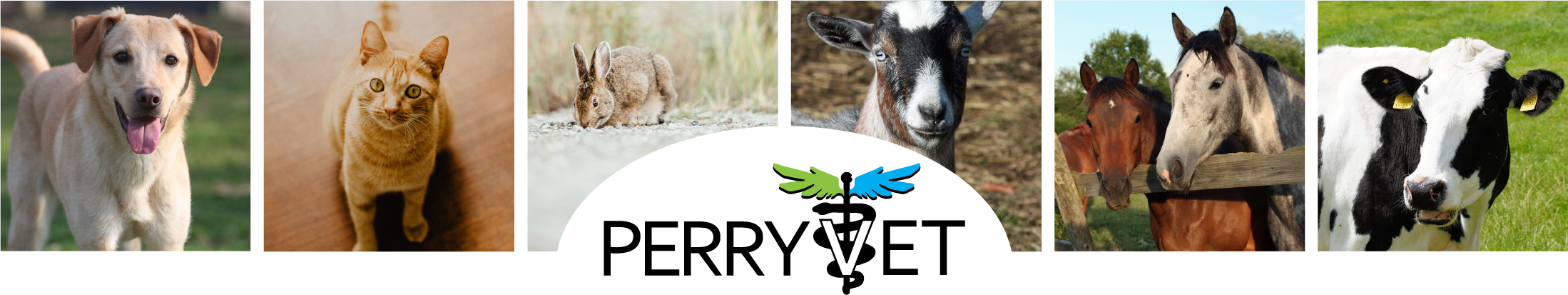 Perry Veterinary Clinic