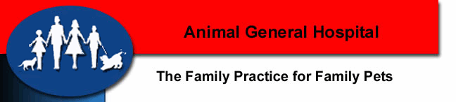 Animal General Hospital