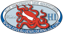 Blue Wilderness Dive Adventures Corp.