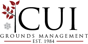 CUI Services