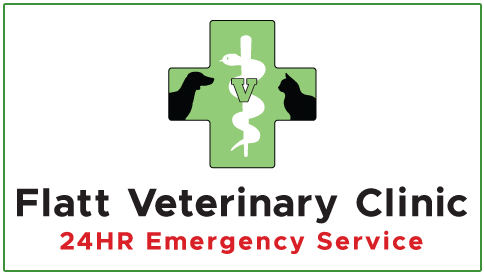 Flatt Veterinary Clinic