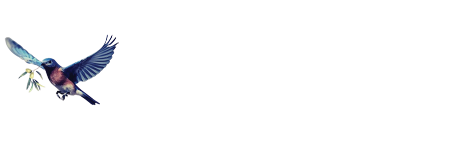 Teran James Young Foundation