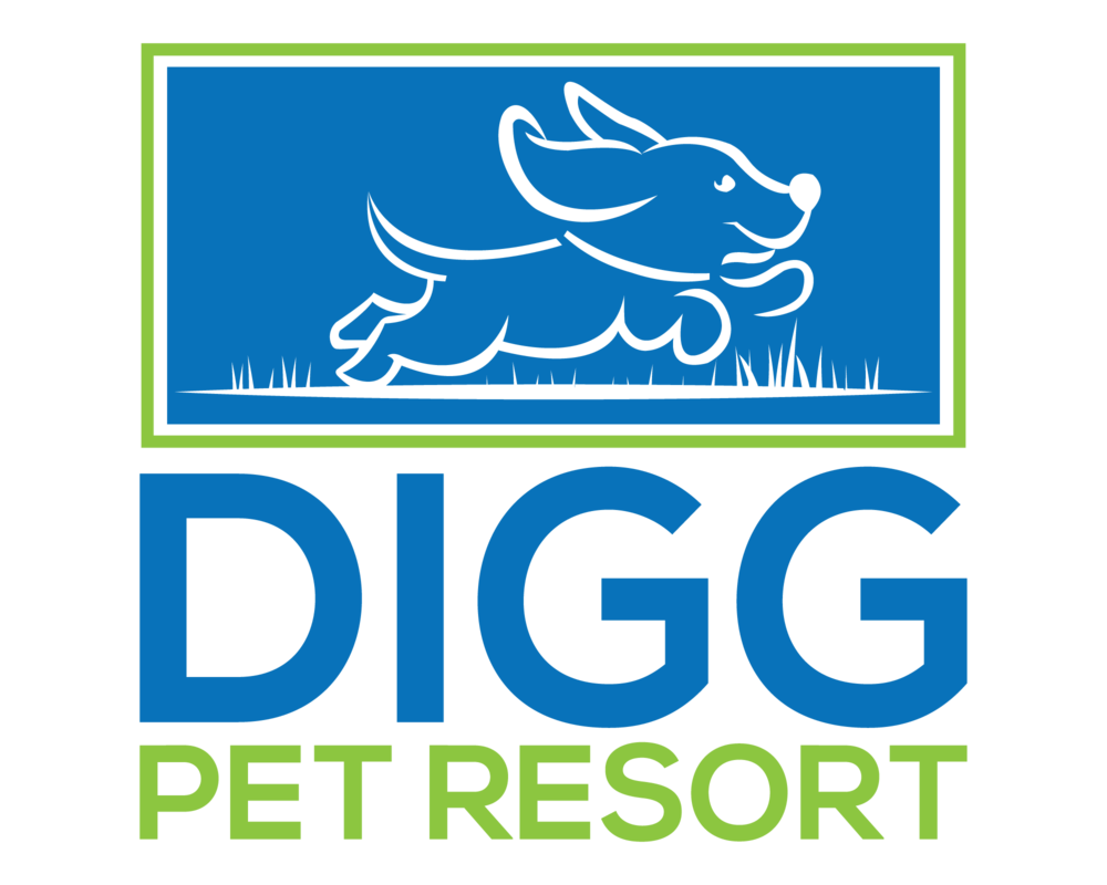 Digg Pet Resort