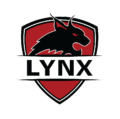 Lynx Security Group