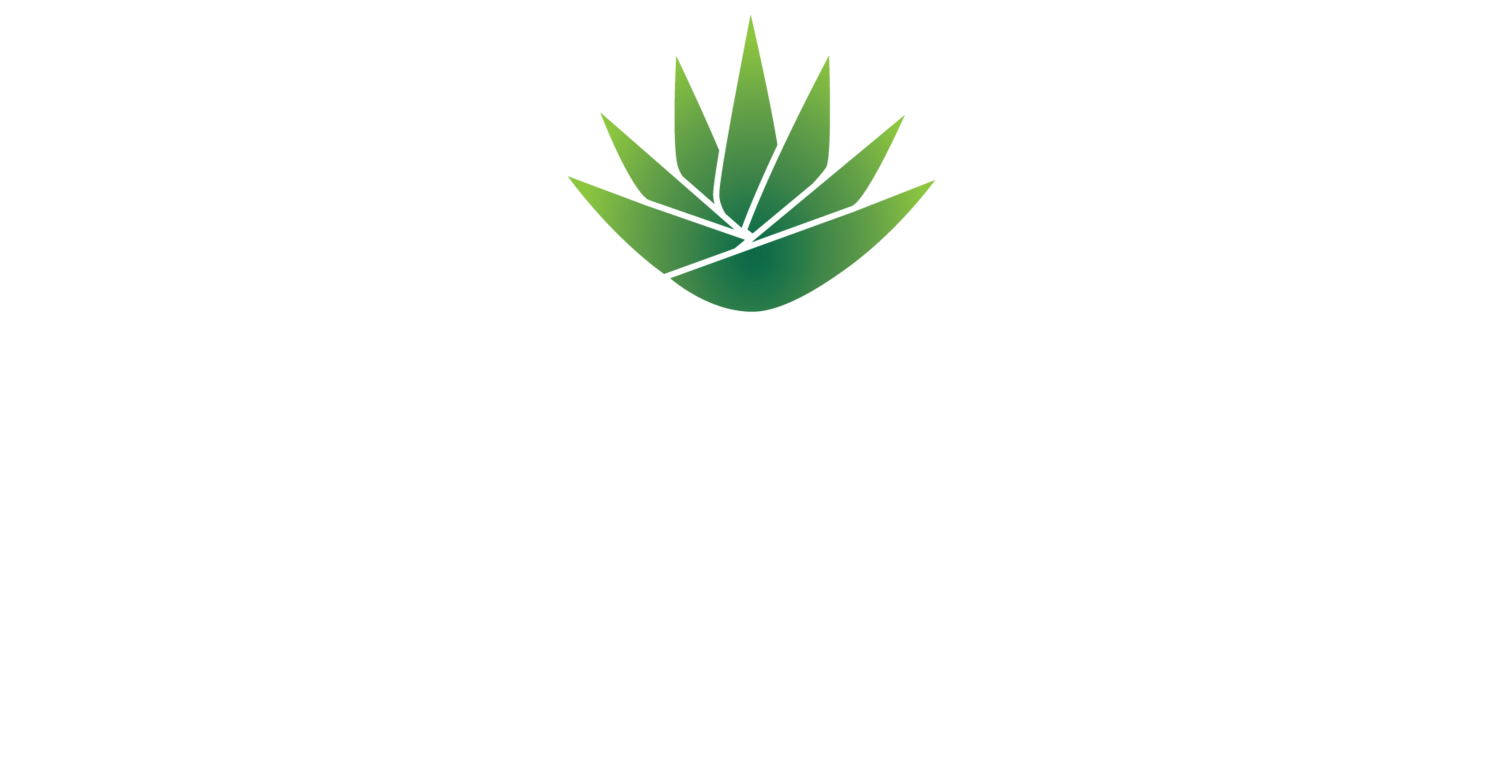 TAHONA Kitchen+Bar Loveland