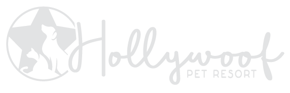 Hollywoof Pet Resort