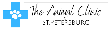 The Animal Clinic of St Petersburg