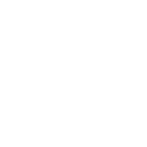 Passov Branding