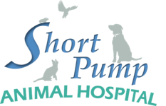 Short Pump Veterinary Hospital