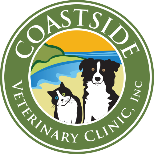 Coastside Veterinary Clinic, Inc.