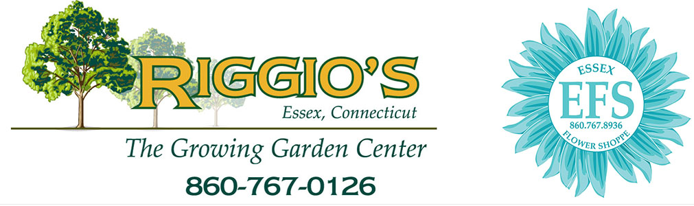 Riggio's Garden Center