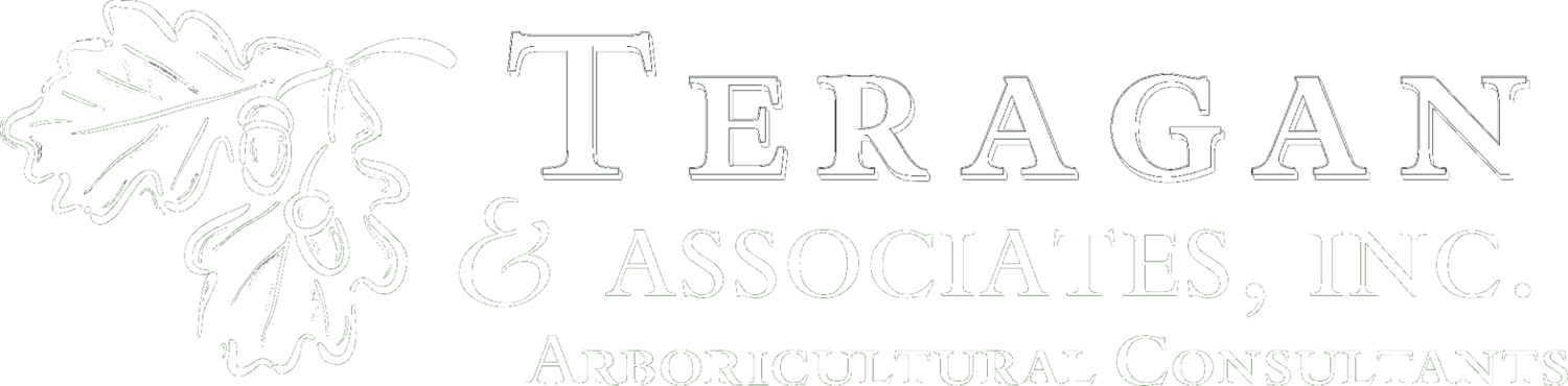 Teragan and Associates, Inc