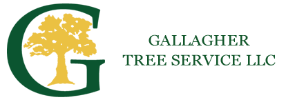 Gallagher Tree Service LLC