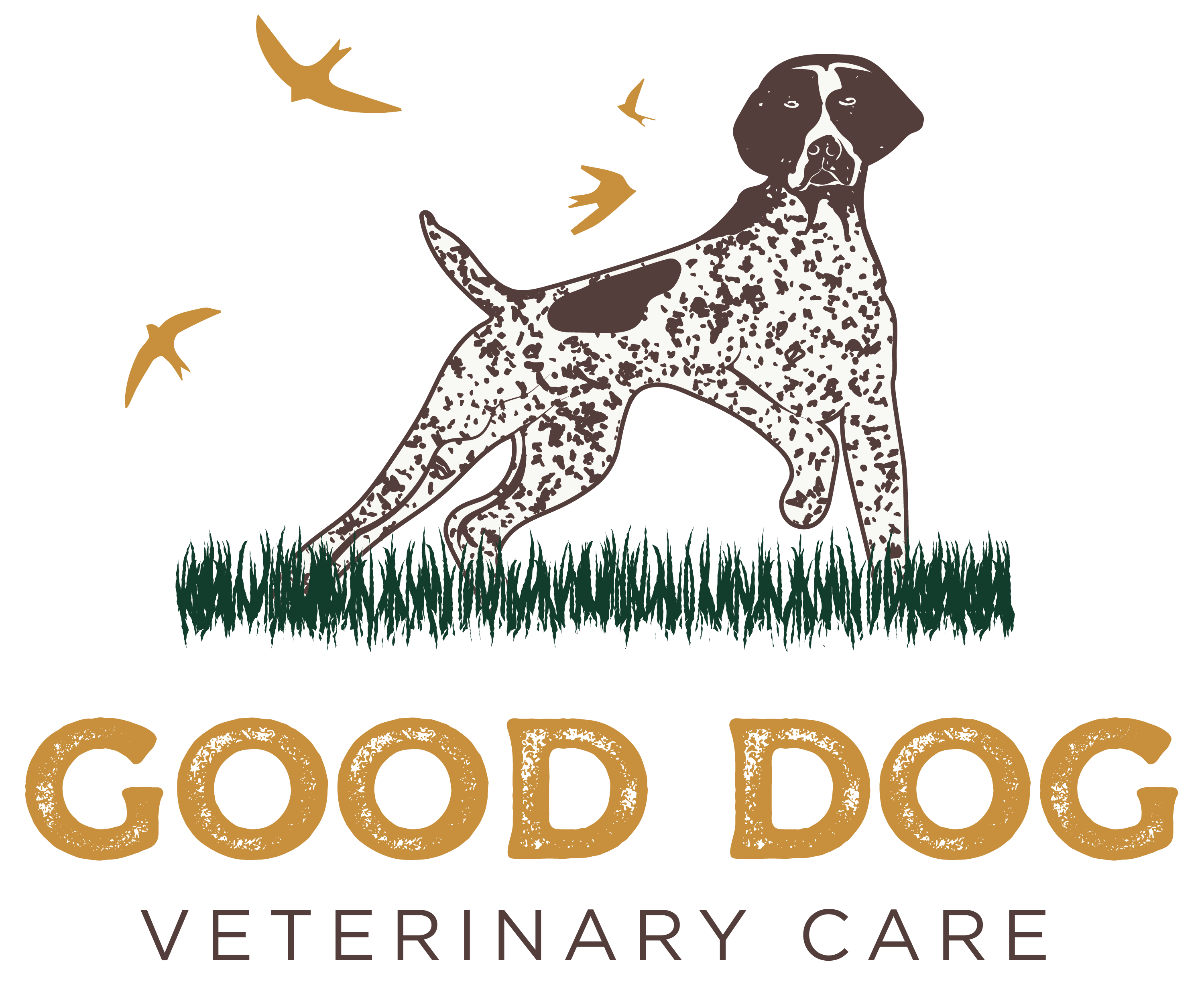 Good Dog Veterinary Care