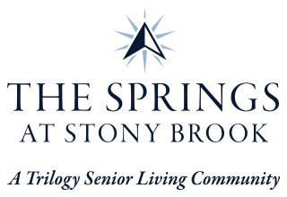 The Springs at Stony Brook