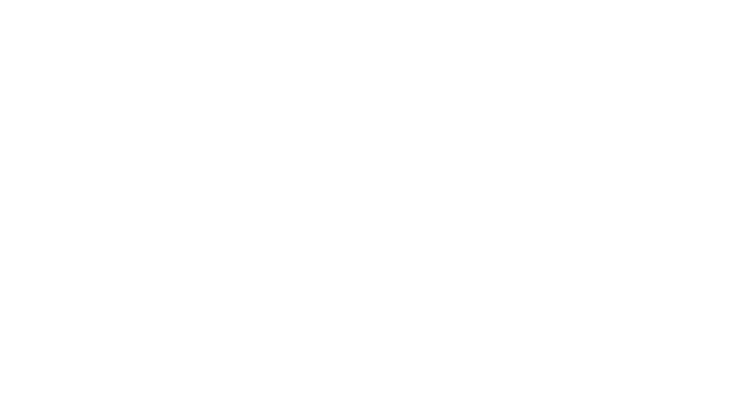 Lyco Business Solutions