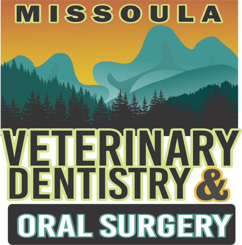 Missoula Veterinary Dentistry & Oral Surgery