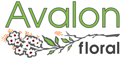 Avalon Floral