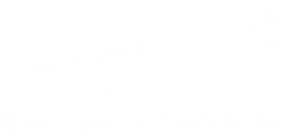 TSM Insurance Services