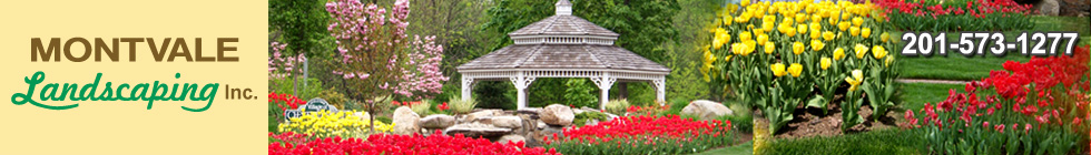 Montvale Landscaping