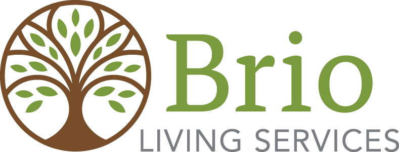 Brio Living Services