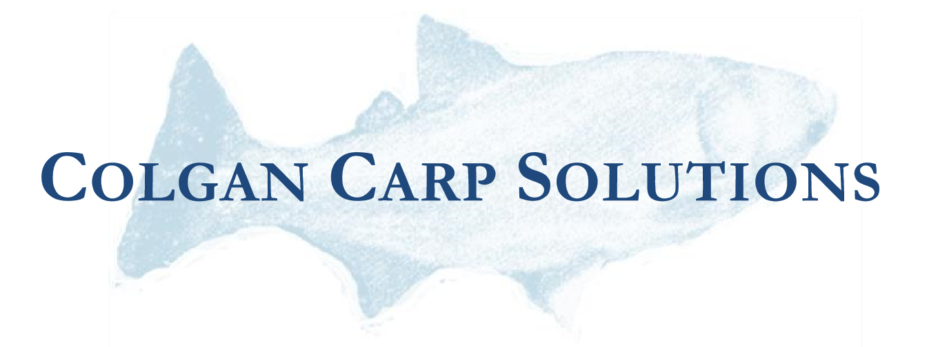 Colgan Carp Solutions, LLC