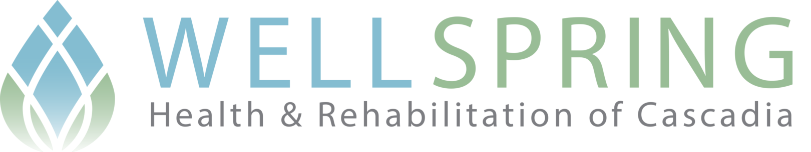 Wellspring Health & Rehabilitation