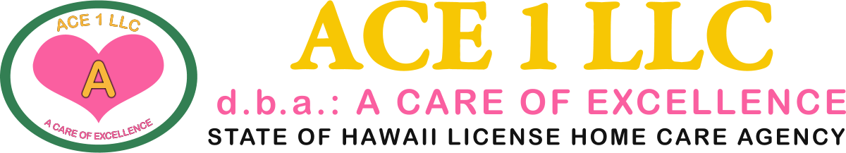 ACE 1 LLC