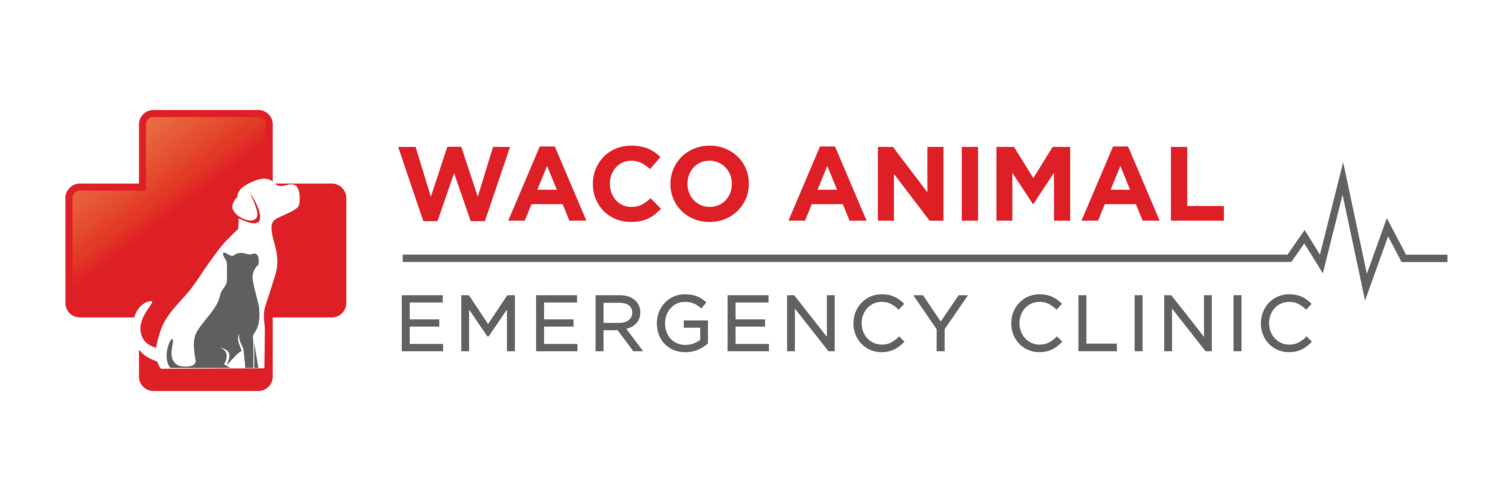 Waco Animal Emergency Clinic